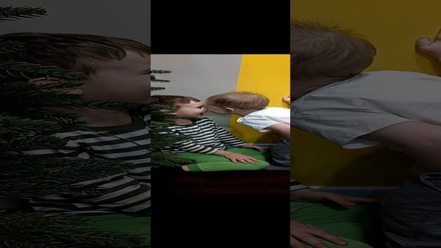 #shorts Поставили ёлочку