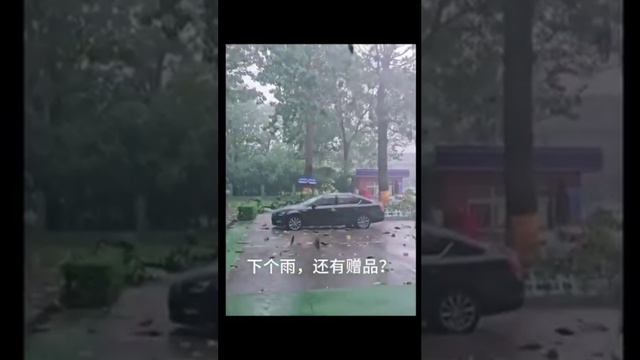 Прямо сегодня в Китае с неба падает рыба.