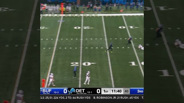 Ty Johnson catches for a 24-yard Gain vs. Detroit Lions