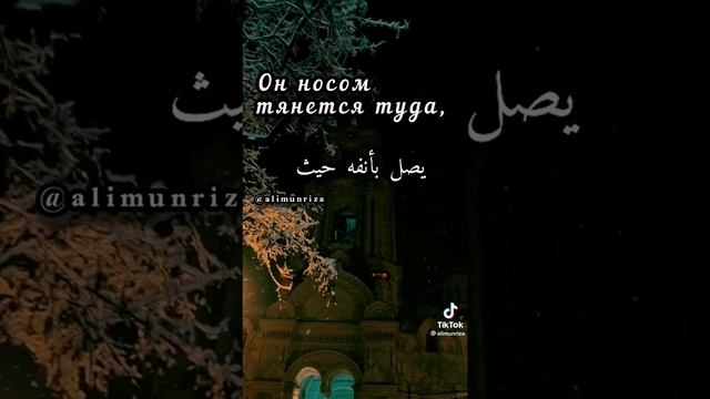e71940a2f68813019c63b98883e45c0f.mp4