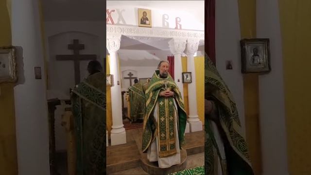 Проповедь прот. Александра Салтыкова в Неделю 25-ю по Пятидесятнице