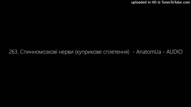 263. Спинномозкові нерви (куприкове сплетення)  - AnatomUa - AUDIO