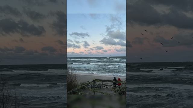 День рождение Арт-отеля "Витланд"