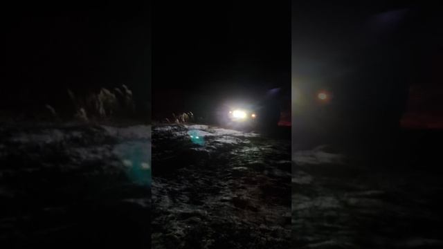 #GreatWall #Safe забирается на горку. #БезДорог57