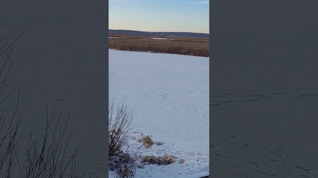 Прогулка на даче:)