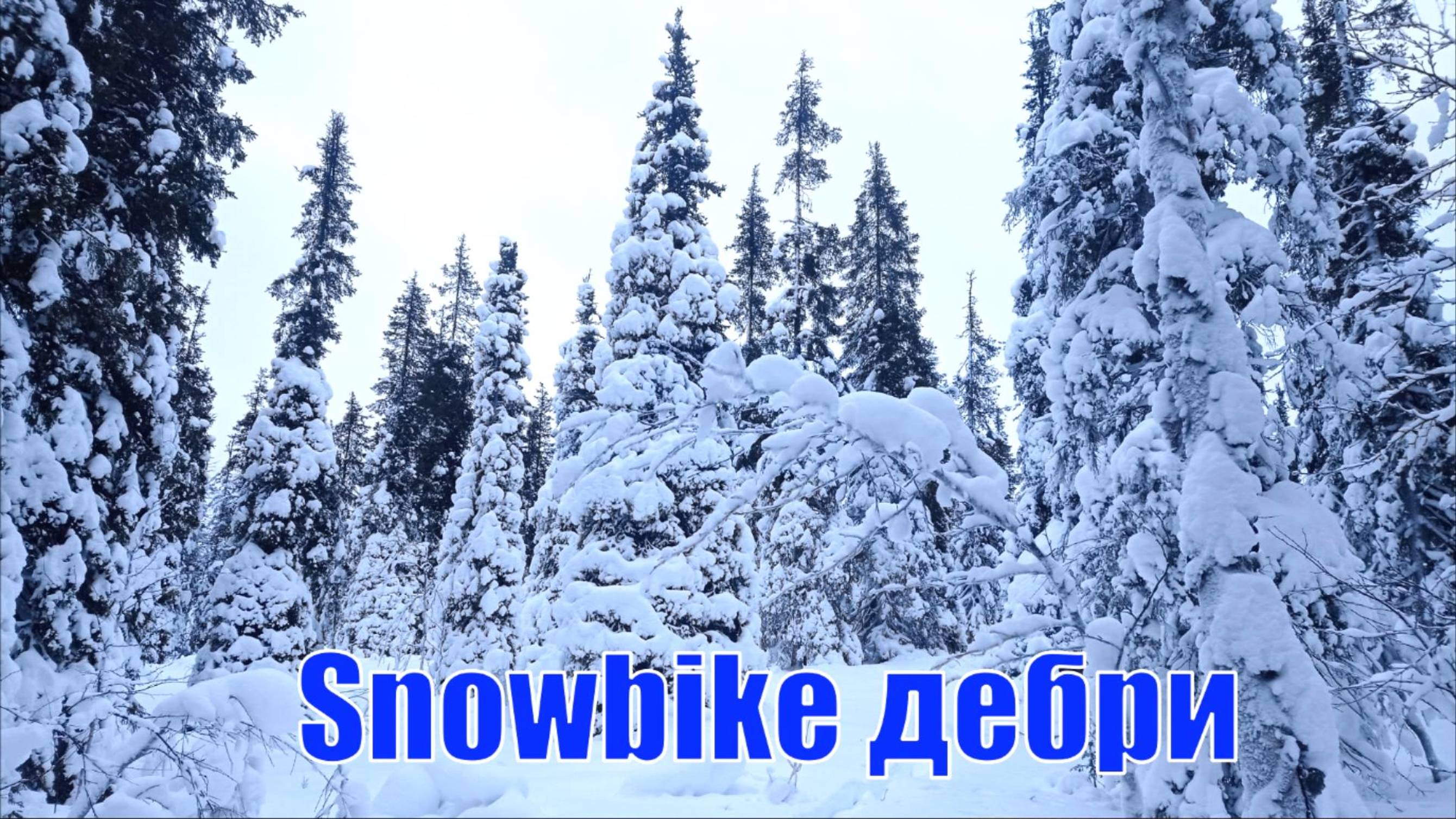 Snowbike Дебри
