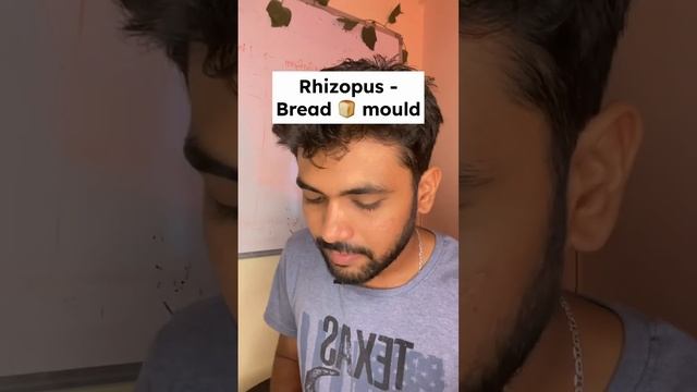 Fungi Class pr NEET 2024 mein Fixed Question Aayega😱| Biological Classification (pt-3) #neet2024