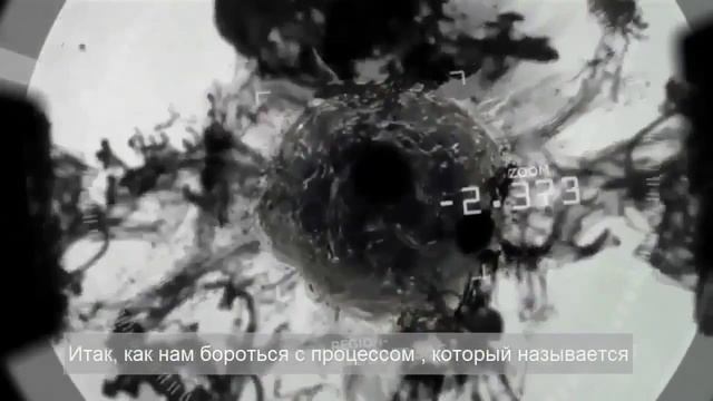FINITI   ФИЛОСОФИЯ ДОЛГОЛЕТИЯ 1