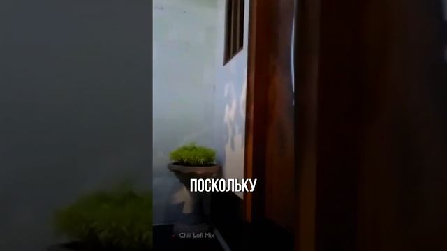 США или Бали? Где жизнь дороже?