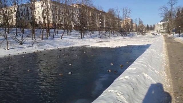 Video.Guru_20241216_131019846.mp4