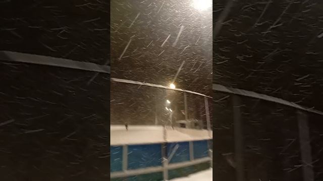 scene_output.mp4