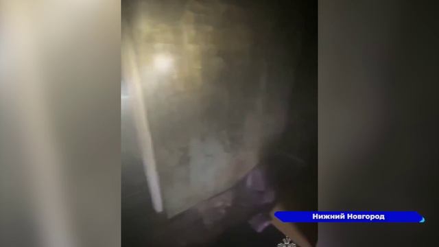 Пожарные вытащили кота из горящей квартиры на улице Мончегорской в Нижнем Новгороде