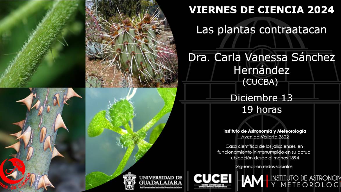 #ViernesDeCiencia 2024 🌙☂️
Las plantas contraatacan
Dra. Carla Vanessa Sánchez