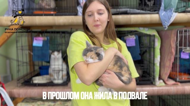 Новички с приема не заканчиваются. Поддержать⬇️