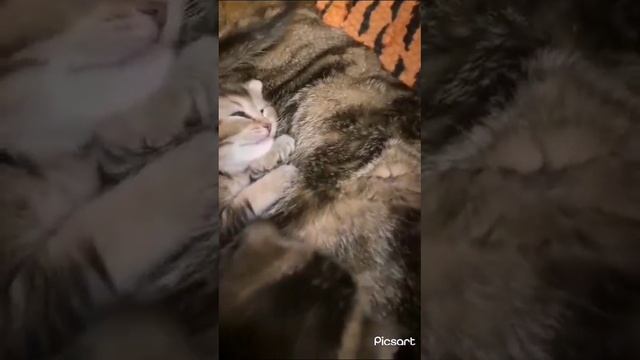 1000035168.mp4