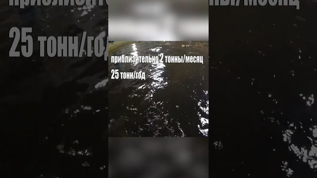 Обзор цифр рентабельности сомовьей фермы!