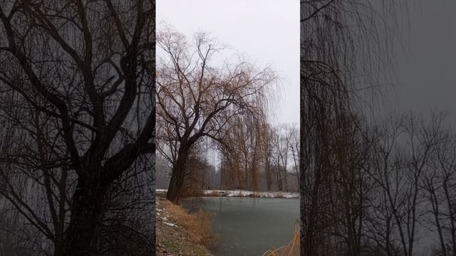 16.12.2024 #сегоднятак #сегодня #природа #матушказемля