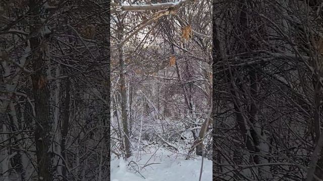 Погода в Уральске 16.12.24