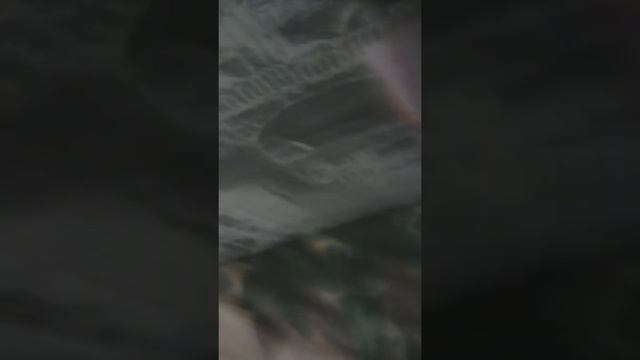 Мой маленький пони  герои это радуга на японском