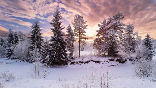 Плейлист "Миниатюры" 180 | #зима #зимой #зимнеенастроение #зимняяпрогулка #зимнийсад #зимнийсезон