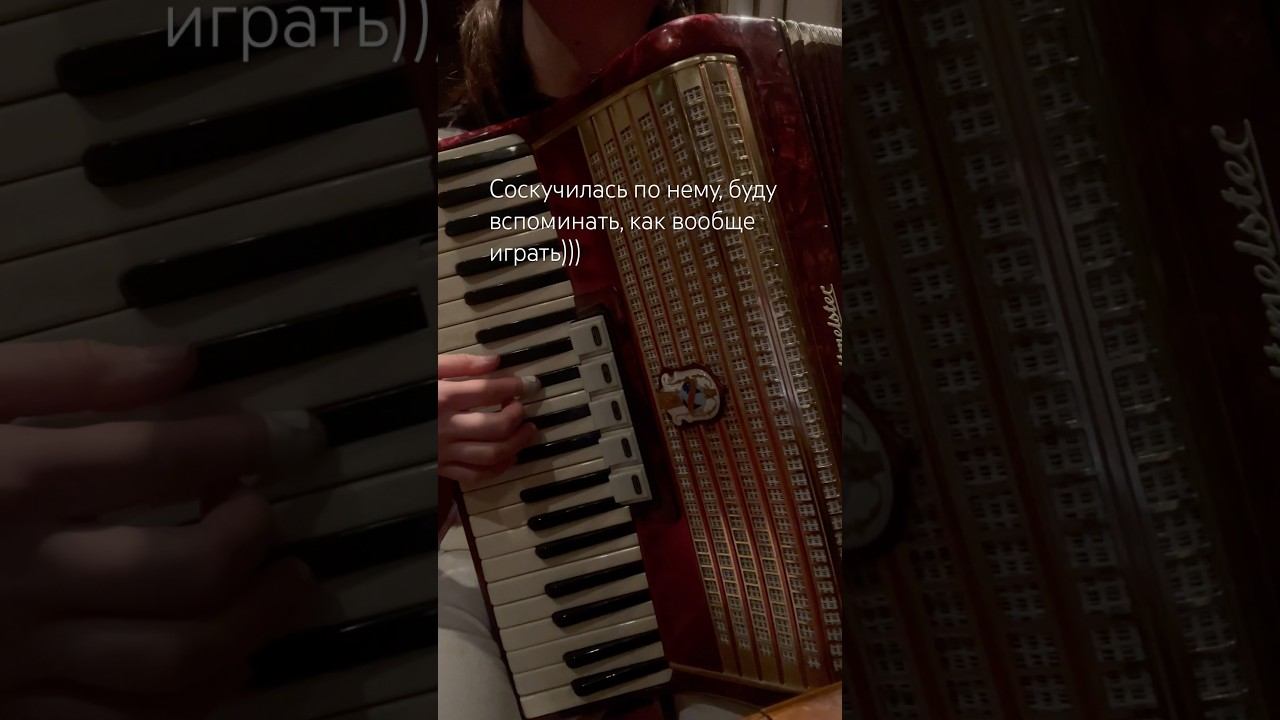 Одно мое тайное хобби… #аккордеон #творчество #музыка #искусство #аккордеонист #music #accordion