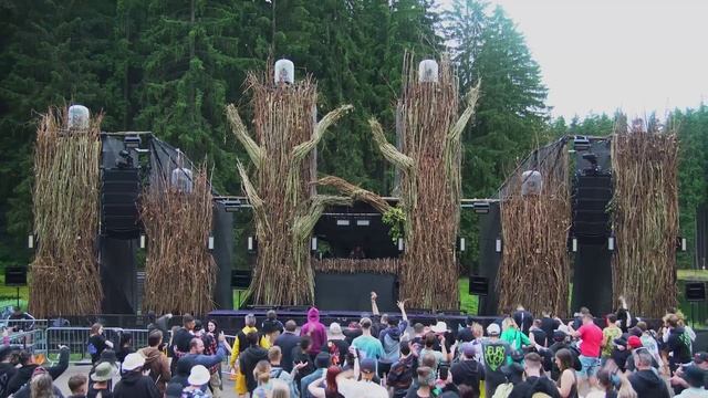 Kaira - Darkshire In The Woods 2023 Drum and Bass #BM