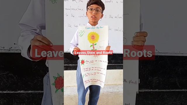 Leaves, stems and roots||Learning with Sidra Afreen||