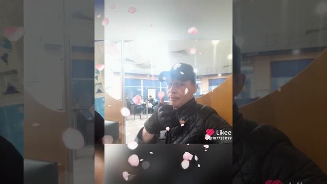 Like_7445269428798280584.mp4