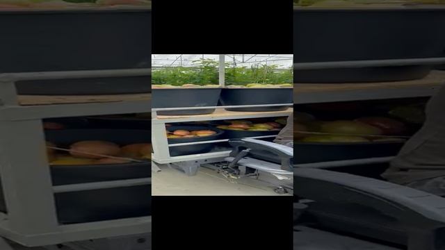 Электрический трицикл RuTrike