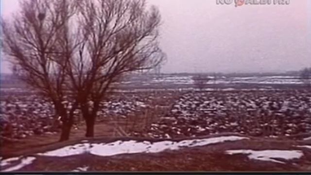 Из истории СССР.