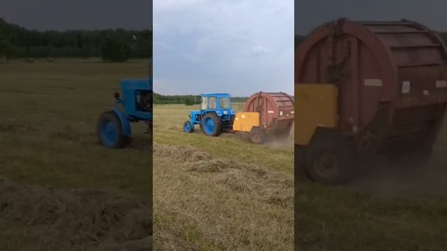 Сенокос 2024🌿🚜 Трактор Т-25, Т-40, МТЗ-80 с кабиной ЮМЗ-6, ППР-Ф-180