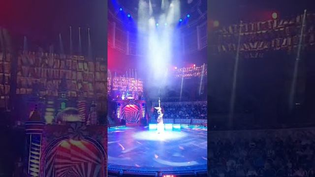 Шоу "WOW" в цирке на Фонтанке декабрь 2024 -  4