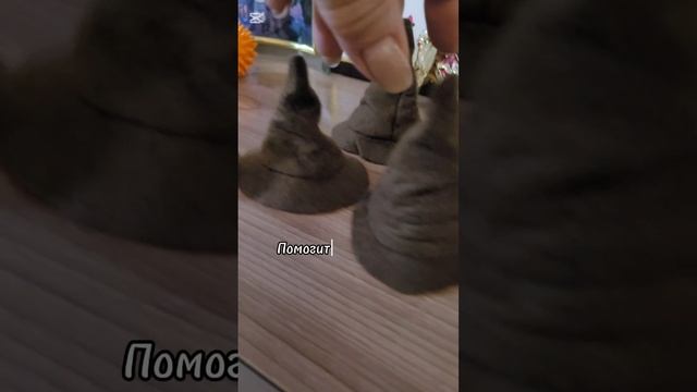 Шапка для Гарри Поттера