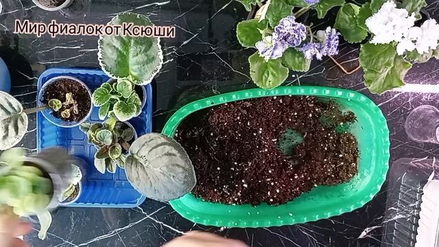 Помогаем детке выбраться из плена