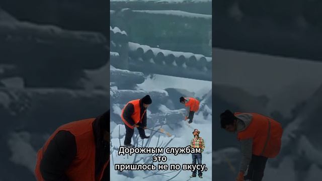 #смех Зухрей Пердолобов 💪🤘и панда 🐼 Катюша