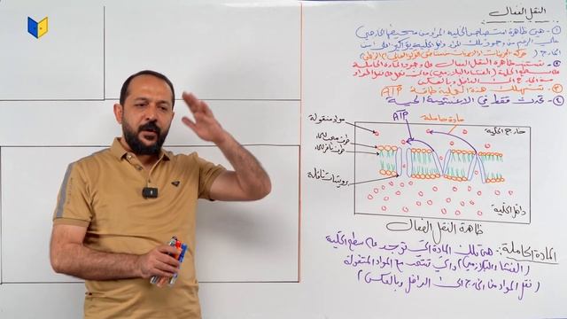 احياء الدرس 12