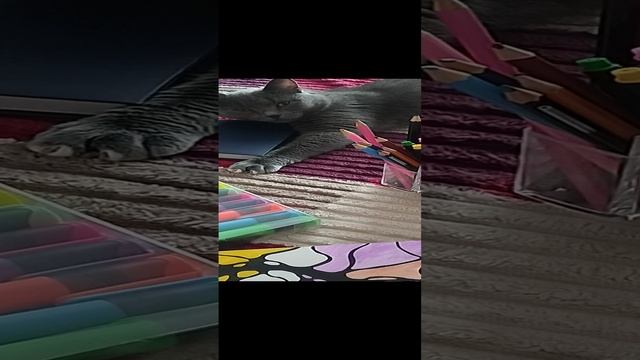 Рисую нейрографику и моя кайфушка рядом