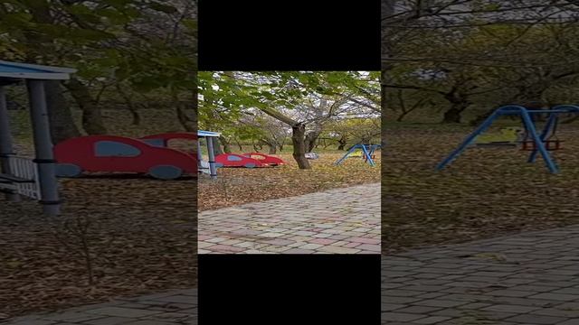 1000022670.mp4