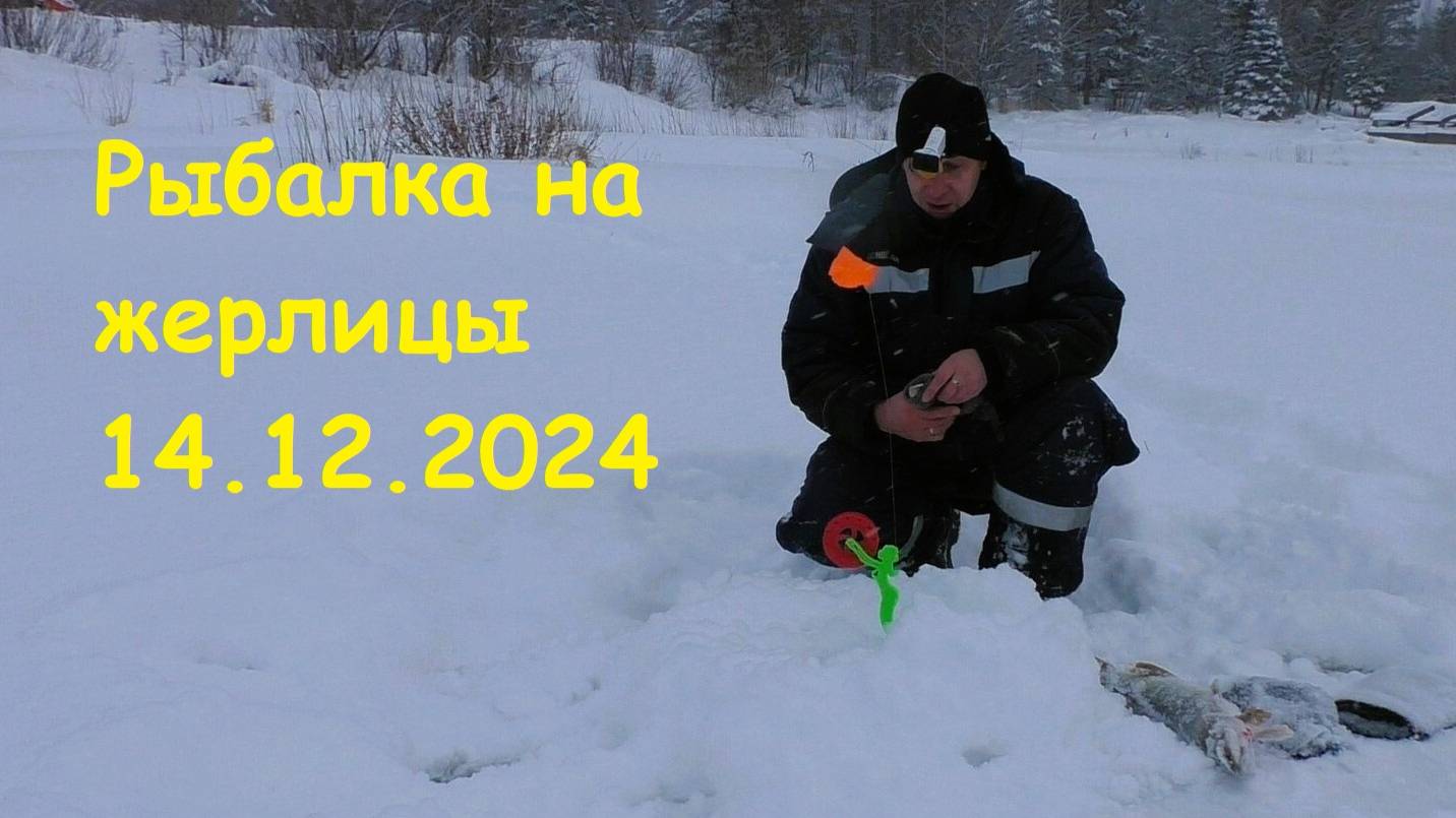 РЫБАЛКА НА ЖЕРЛИЦЫ 14.12.2024. ЗИМНЯЯ РЫБАЛКА НА ТАЁЖНОЙ РЕЧКЕ.