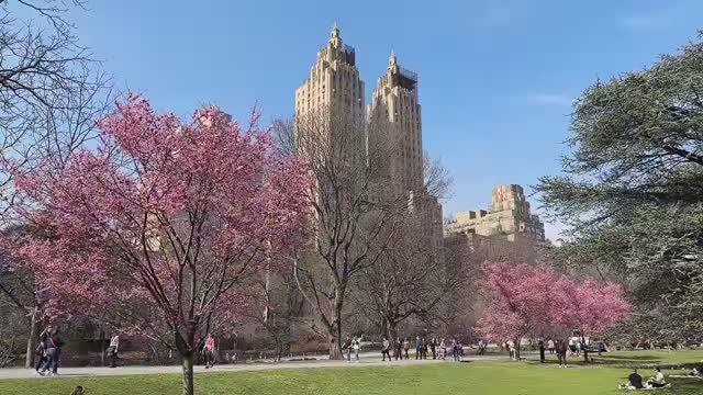 🇺🇸Весенняя прогулка по Нью-Йорку🌸💐💮 Центральный парк и Верхний Ист-Сайд🍰☕