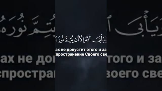 Кто стоит за хариджитами