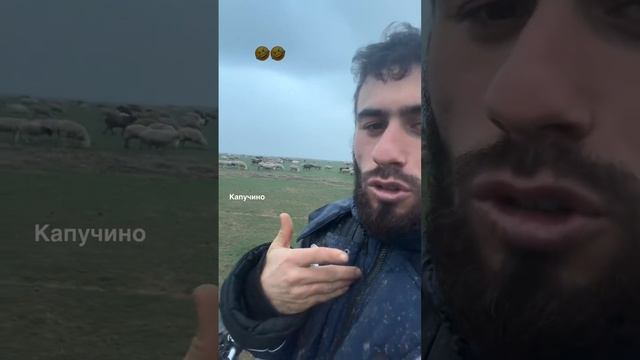 kapuchino8529_587fc2090e7a4a9c8519b4d211025099.mp4