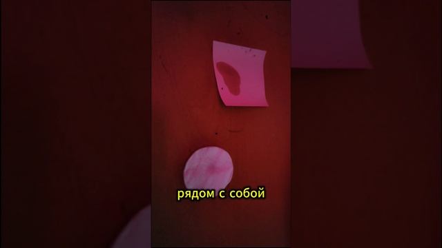 Польза Пихтового Масла
