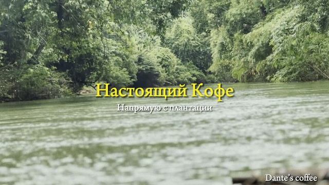 100% Настоящий Кофе с плантации. От 1кг в зернах. Оптом и в розницу