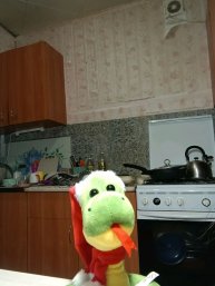 Змей общество