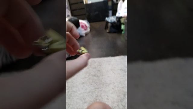 VID-20241215-WA0036.mp4