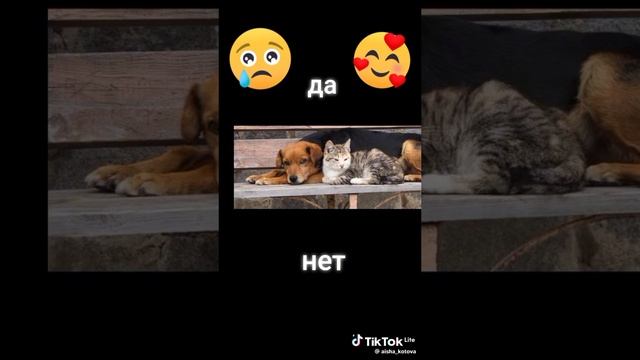 антб