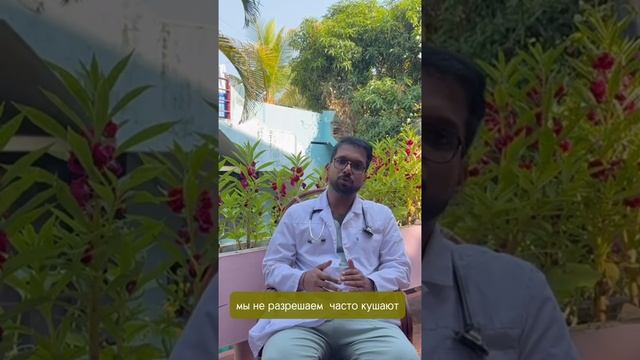 Про распорядок дня в аюрведической клинике Sattva Natura Ayurveda