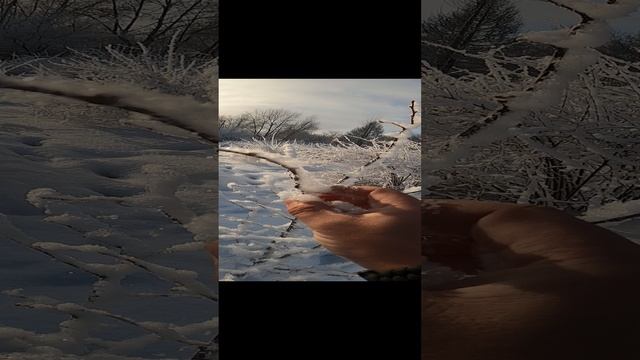 Красота сибирской зимы