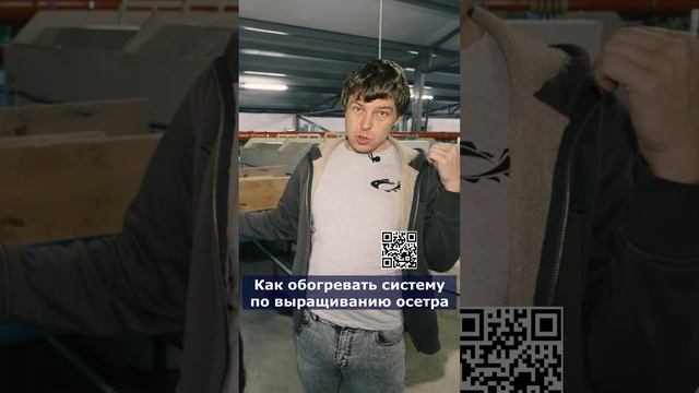 Как обогревать систему по выращиванию осетра